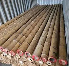 Bamboo